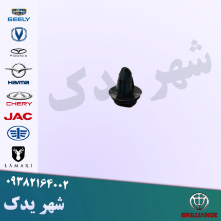 خار تودری برلیانس