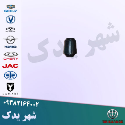 ضربگیر در برلیانس