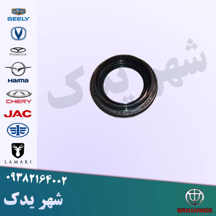 کاسه نمد ته میل لنگ برلیانس کاسه نمد ته میل لنگ برلیانس