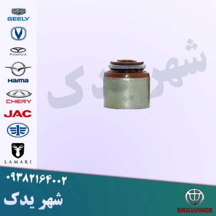 کاسه نمد ساق سوپاپ برلیانس